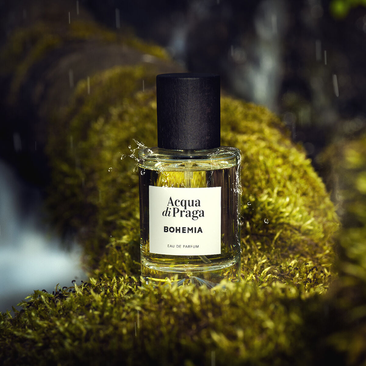 Acqua Di Praga Parfum Unisexe Acqua Di Praga Bohemia Edp Edp 50 Ml