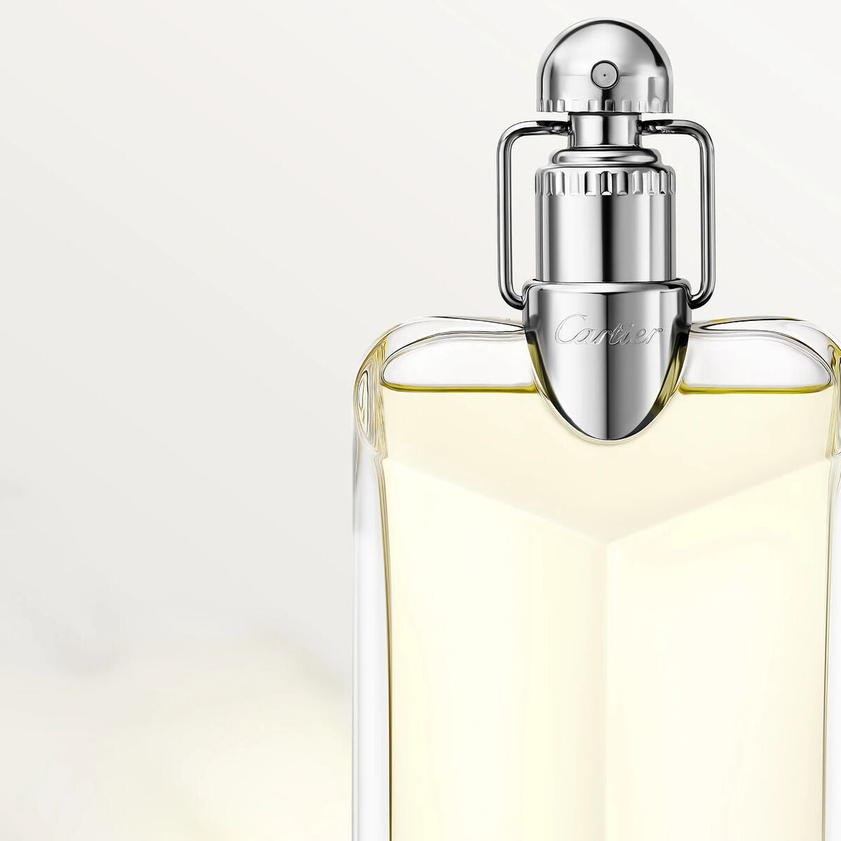 Cartier Parfum Femme Cartier Déclaration Edt 100 Ml