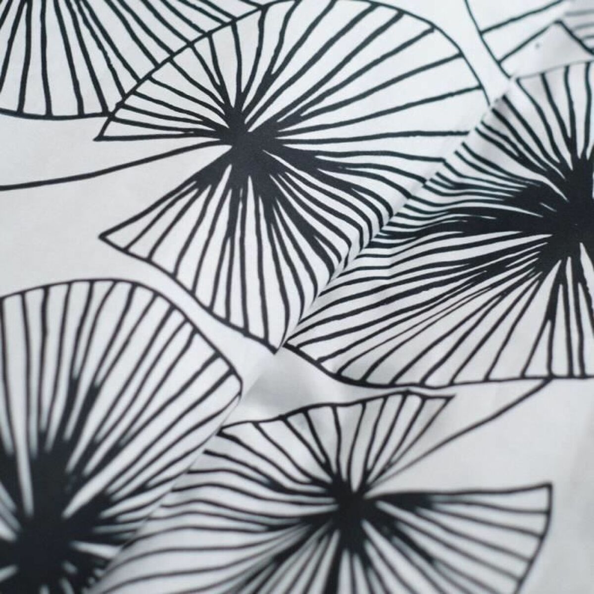 V7H38F5D48B46521447F76B6CE75A0BCF76R3440453P2