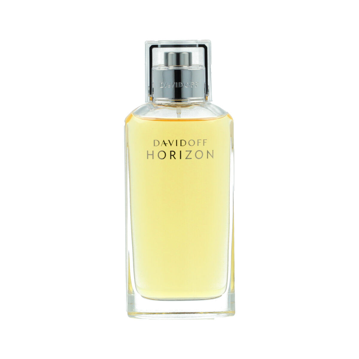 Davidoff Parfum Homme Davidoff Horizon Edt 125 Ml