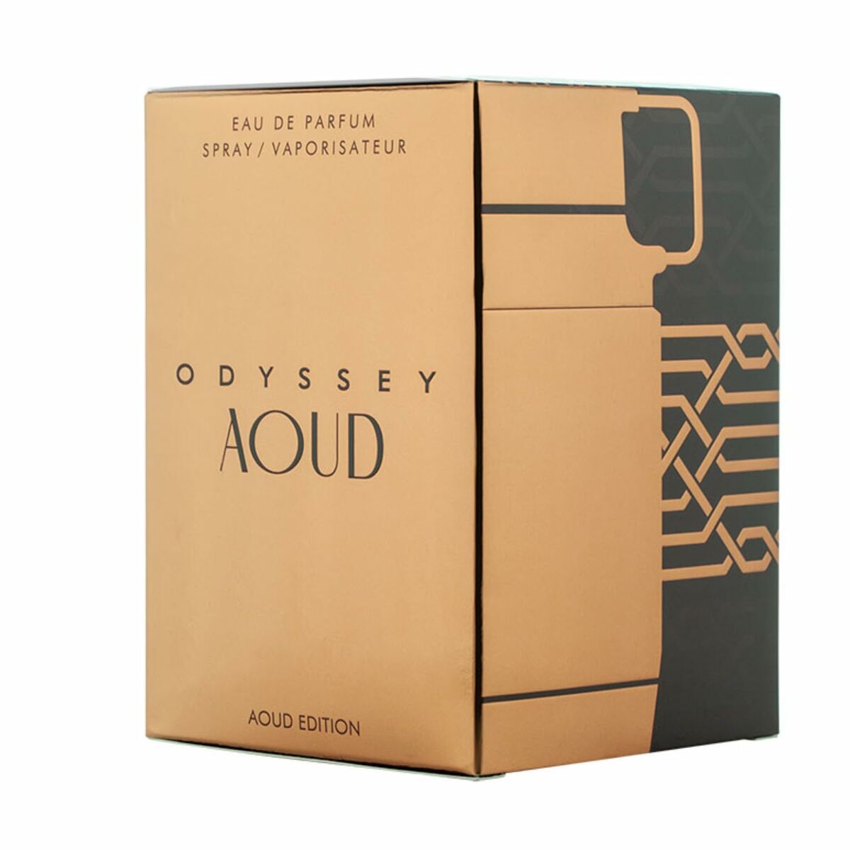 Armaf Parfum Homme Armaf Odyssey Aoud Edp 100 Ml