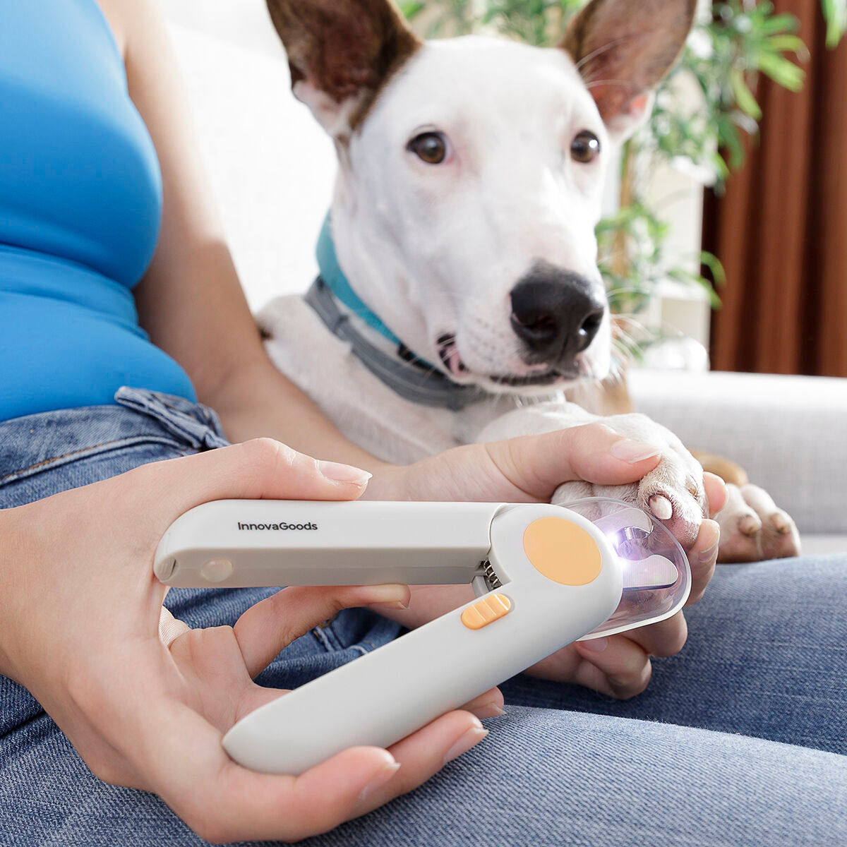 Innovagoods Coupe-Griffes Avec Led Pour Animaux De Compagnie Clipet Innovagoods