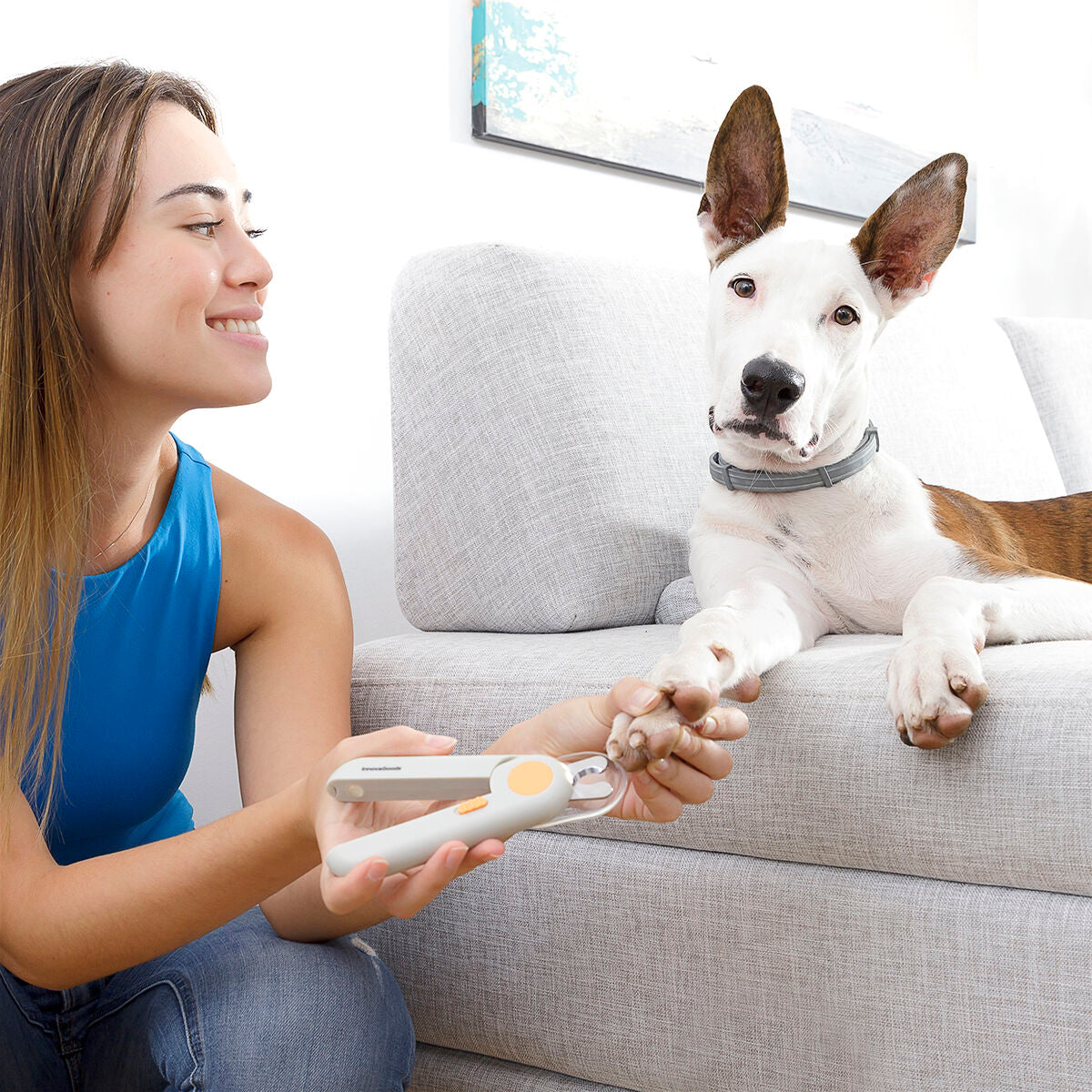 Innovagoods Coupe-Griffes Avec Led Pour Animaux De Compagnie Clipet Innovagoods