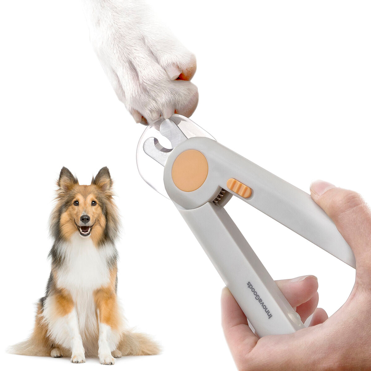 Innovagoods Coupe-Griffes Avec Led Pour Animaux De Compagnie Clipet Innovagoods