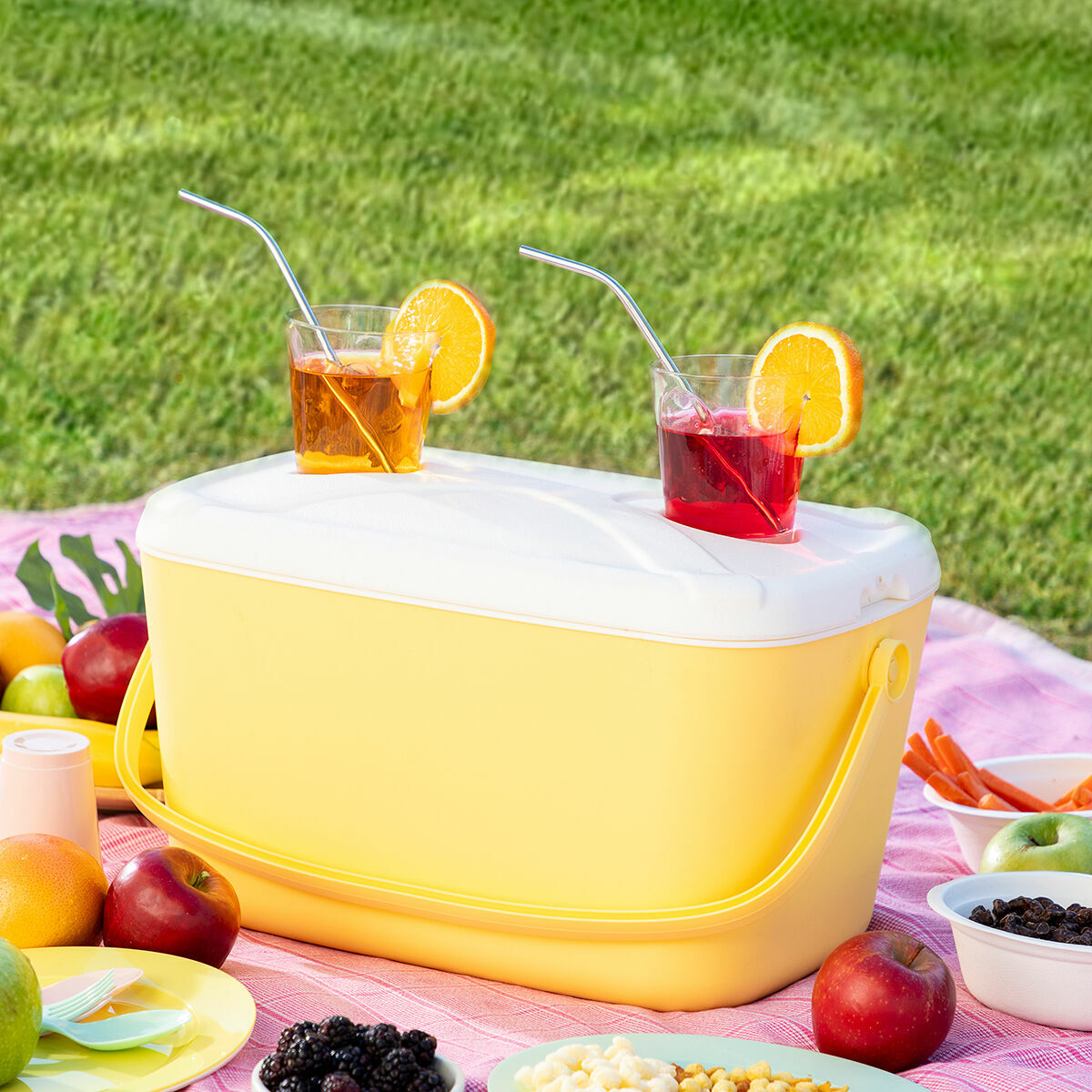 Innovagoods Glacière Rigide Portable Lilty Innovagoods 15 L