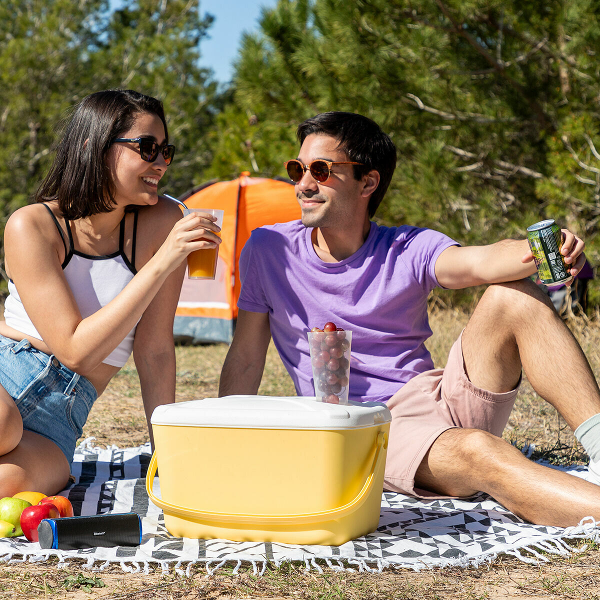 Innovagoods Glacière Rigide Portable Lilty Innovagoods 15 L