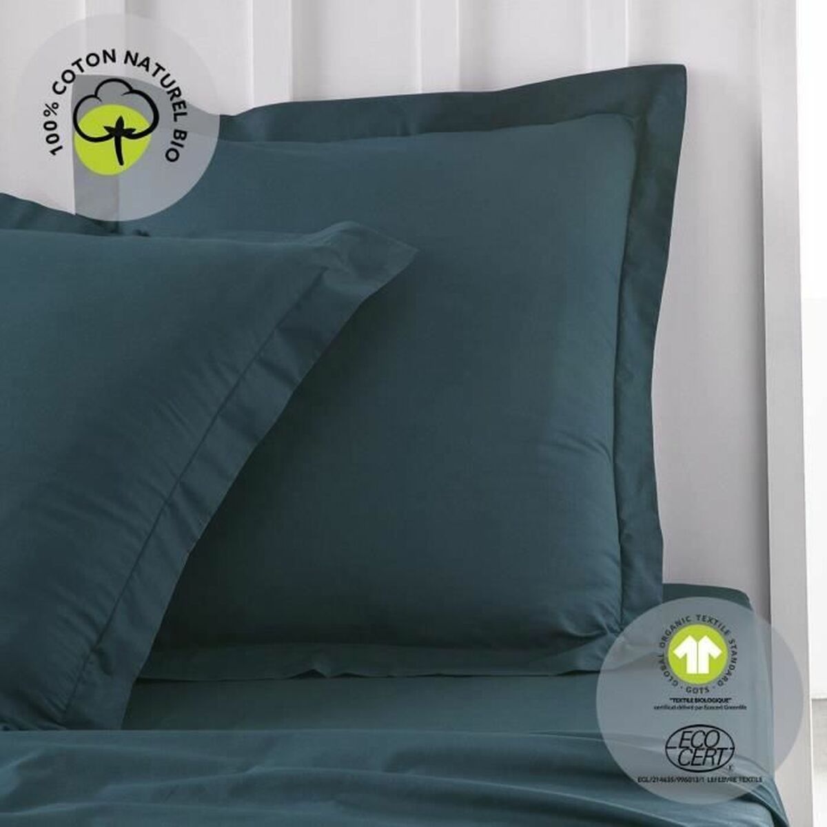 V3HB31357F7A85ED86D910D612462B9CEDDR5935529P2